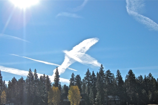 Cloud in Flight